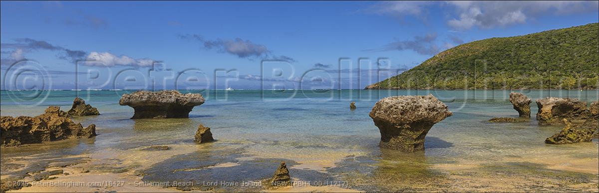 Peter Bellingham Photography Settlement Beach - Lord Howe Island - NSW (PBH4 00 11717)